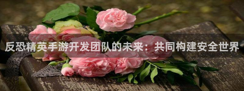 星空娱乐网站官网：反恐精英手游开发团队的未来：共同构建安全世