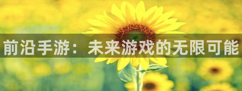 星空娱乐新版本下载：前沿手游：未来游戏的无限可能