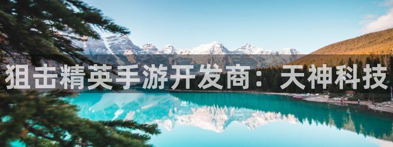 93299星空娱乐官网版：狙击精英手游开发商：天神科技