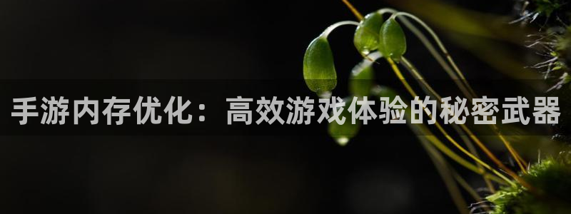 星空娱乐93299：手游内存优化：高效游戏体验的秘密武器