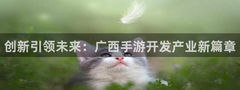 星空体育娱乐：创新引领未来：广西手游开发产业新篇章