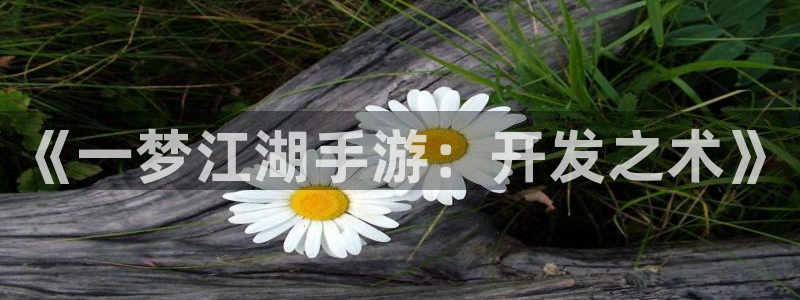 星空娱乐棋牌app：《一梦江湖手游：开发之术》