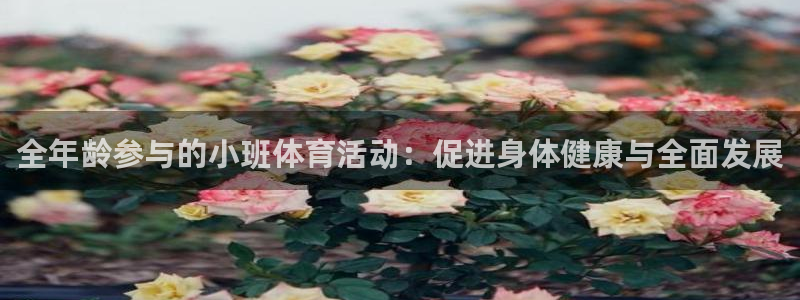 betway西汉姆：全年龄参与的小班体育活动：促进身体健康与全面发展