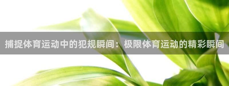 betway西汉姆官网：捕捉体育运动中的犯规瞬间：极限体育运动的精彩瞬间