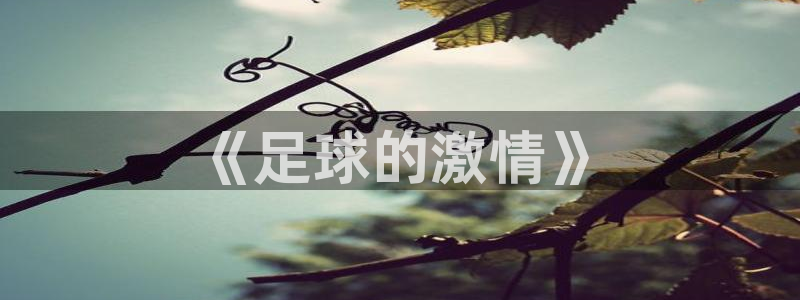 betway西汉姆官网：《足球的激情》