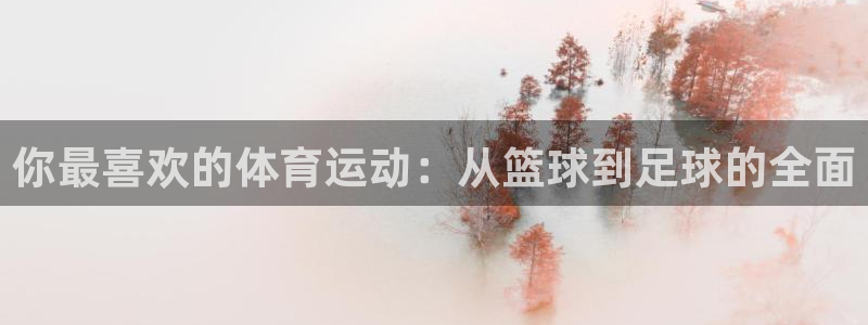 betway西汉姆联官网：你最喜欢的体育运动：从篮球到足球的全面